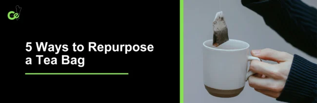 09052019_5 Ways to Repurpose a Tea Bag_Pexels
