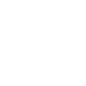 Publix Logo White